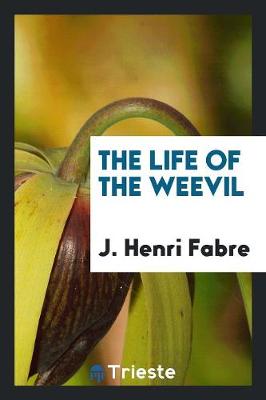 The Life of the Weevil (Paperback)