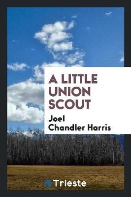 A Little Union Scout (Paperback)