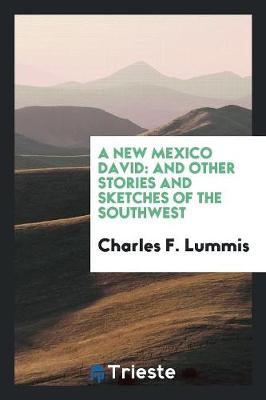A New Mexico David: And Other Stories and Sketches of the Southwest (Paperback)
