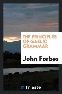 The Principles of Gaelic Grammar (Paperback)
