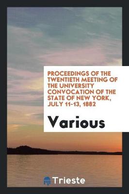 Proceedings of the Twentieth Meeting of the University Convocation of the State of New York, July 11-13, 1882 (Paperback)