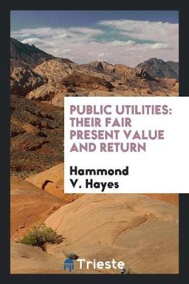Public Utilities: Their Fair Present Value and Return (Paperback)