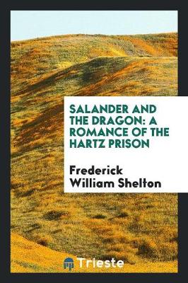 Salander and the Dragon: A Romance of the Hartz Prison (Paperback)