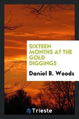Sixteen Months at the Gold Diggings (Paperback)