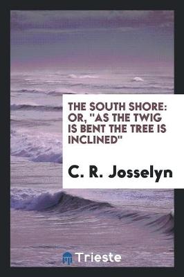 The South Shore: Or, as the Twig Is Bent the Tree Is Inclined (Paperback)