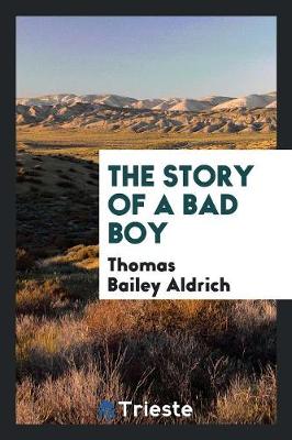 The Story of a Bad Boy (Paperback)