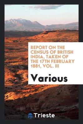 Report on the Census of British India, Taken of the 17th February 1881, Vol. III (Paperback)