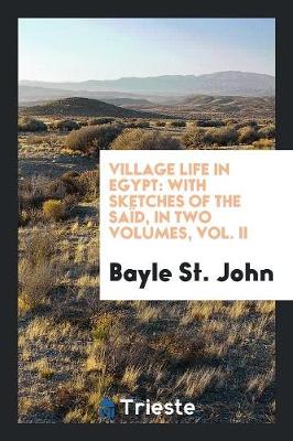 Village Life in Egypt: With Sketches of the Sa d, in Two Volumes, Vol. II (Paperback)