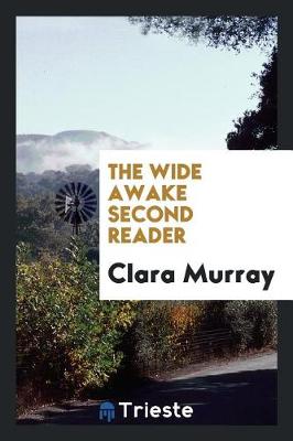 The Wide Awake Second Reader (Paperback)