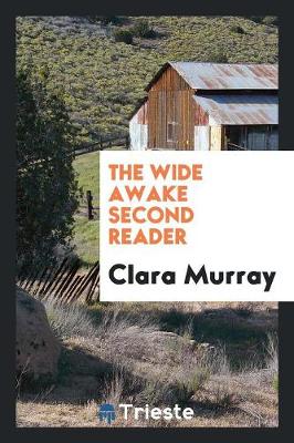 The Wide Awake Second Reader (Paperback)