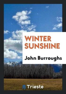 Winter Sunshine (Paperback)