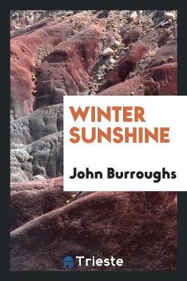 Winter Sunshine (Paperback)