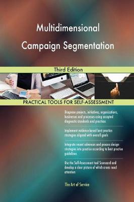 Multidimensional Campaign Segmentation Third Edition (Paperback)