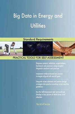 Big Data in Energy and Utilities Standard Requirements (Paperback)