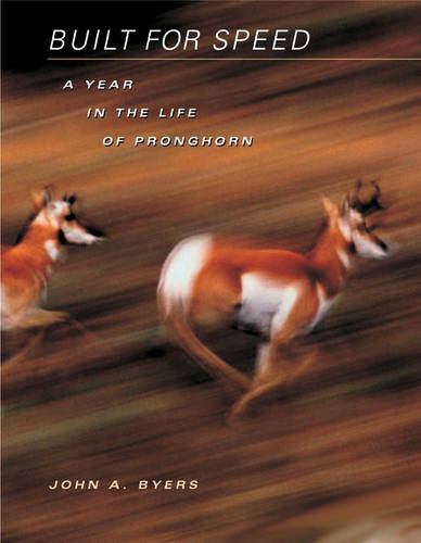 Built for Speed: A Year in the Life of Pronghorn (Hardback)