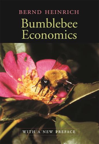 Bumblebee Economics: With a New Preface (Paperback)
