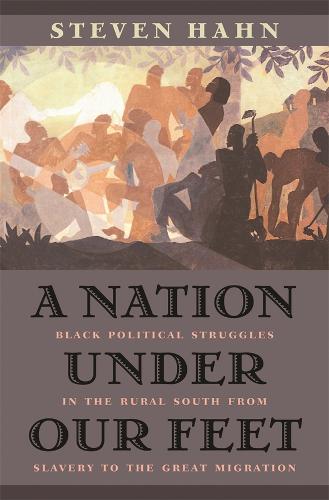 A Nation under Our Feet: Black Political Struggles in the Rural South from Slavery to the Great Migration (Paperback)