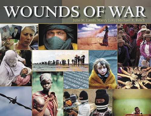 Wounds of War - Harvard Series on Population and International Health (Paperback)