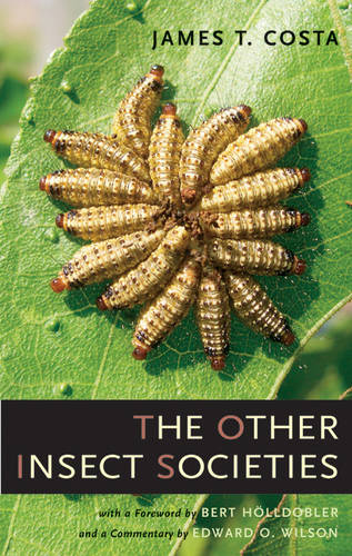 The Other Insect Societies (Hardback)