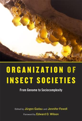 Organization of Insect Societies: From Genome to Sociocomplexity (Hardback)