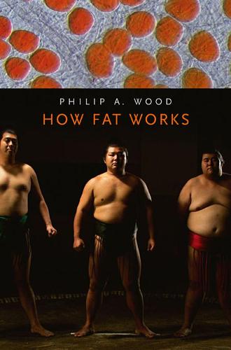 How Fat Works (Paperback)