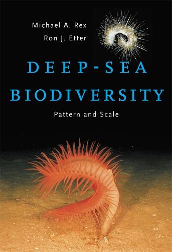Deep-Sea Biodiversity: Pattern and Scale (Hardback)