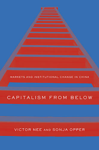 Capitalism from Below: Markets and Institutional Change in China (Hardback)