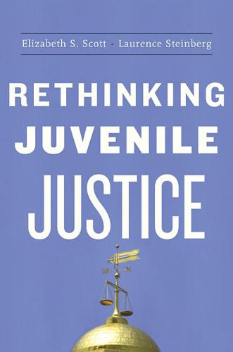 Rethinking Juvenile Justice (Paperback)
