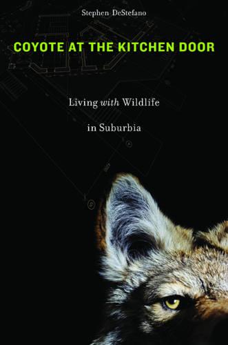 Coyote at the Kitchen Door: Living with Wildlife in Suburbia (Paperback)