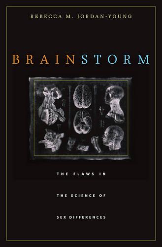 Brain Storm: The Flaws in the Science of Sex Differences (Paperback)