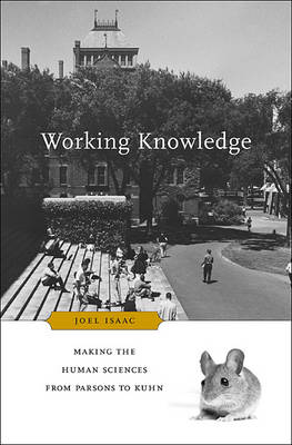 Working Knowledge: Making the Human Sciences from Parsons to Kuhn (Hardback)