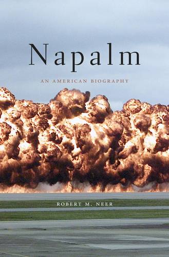 Napalm: An American Biography (Paperback)