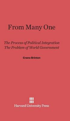 From Many One (Hardback)
