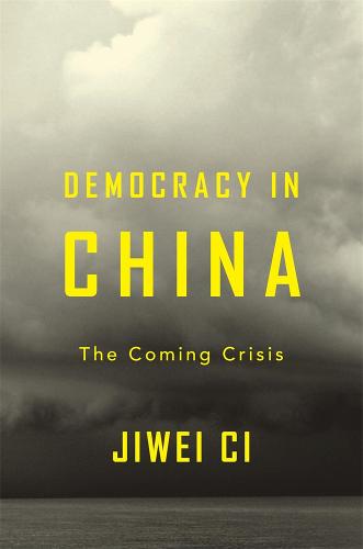 Democracy in China: The Coming Crisis (Hardback)