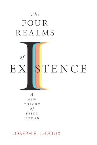 The Four Realms of Existence: A New Theory of Being Human (Hardback)