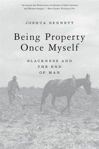 Being Property Once Myself: Blackness and the End of Man (Paperback)