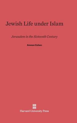 Jewish Life Under Islam (Hardback)