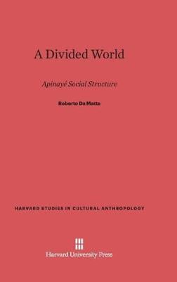 A Divided World (Hardback)
