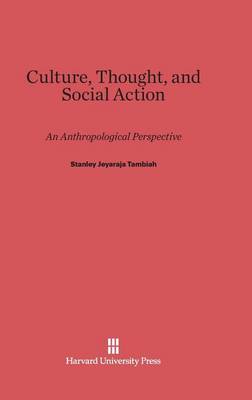 Culture, Thought, and Social Action (Hardback)