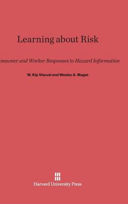 Learning about Risk (Hardback)