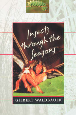 Insects Through the Seasons (Paperback)