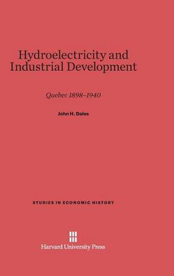 Hydroelectricity and Industrial Development - Studies in Economic History 7 (Hardback)