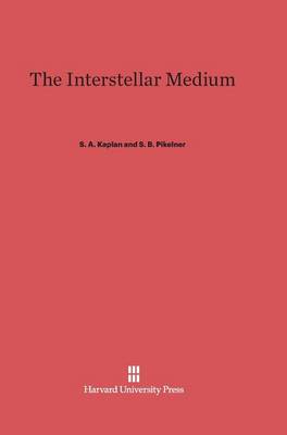 The Interstellar Medium (Hardback)