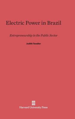 Electric Power in Brazil: Entrepreneurship in the Public Sector (Hardback)