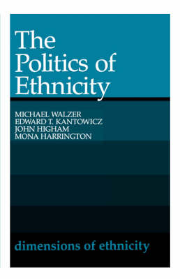 The Politics of Ethnicity (Paperback)