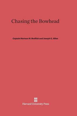 Chasing the Bowhead (Hardback)