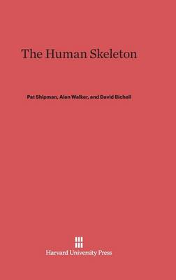 The Human Skeleton (Hardback)