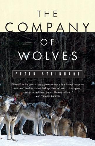 Company Of Wolves (Paperback)