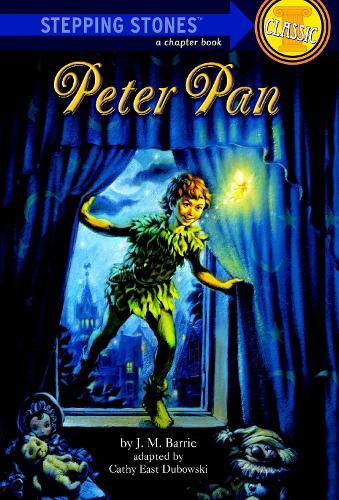 Stepping Stones (Paperback)
