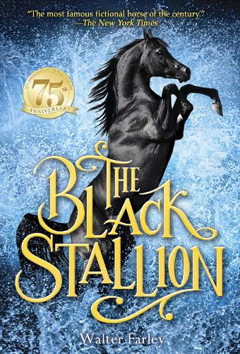 The Black Stallion (Paperback)